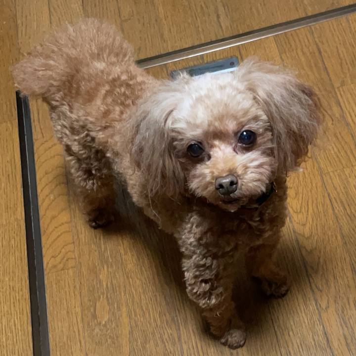 F3080d7b befe 4b43 9970 111a4ef83f35 1736942980266