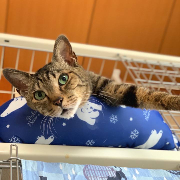 F308294a d679 4686 a4fe 8493e4261e25 1591662587618