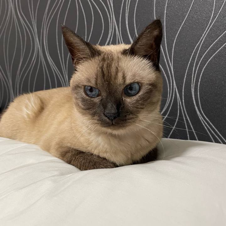 F30889a5 5563 4902 8bd4 d58d14682786 1759935822108