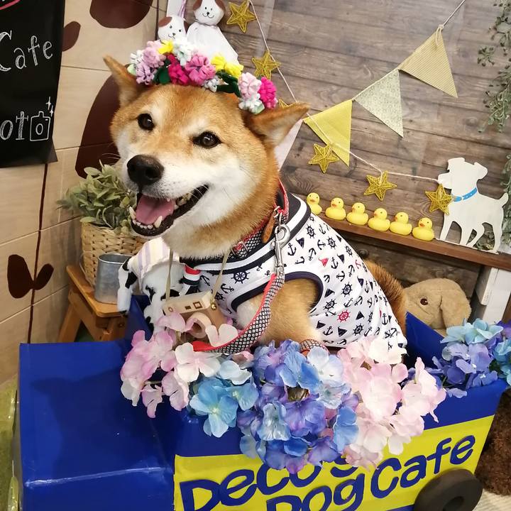 F308a079 494a 4a87 a4ff c356a8048d50 1625477383858