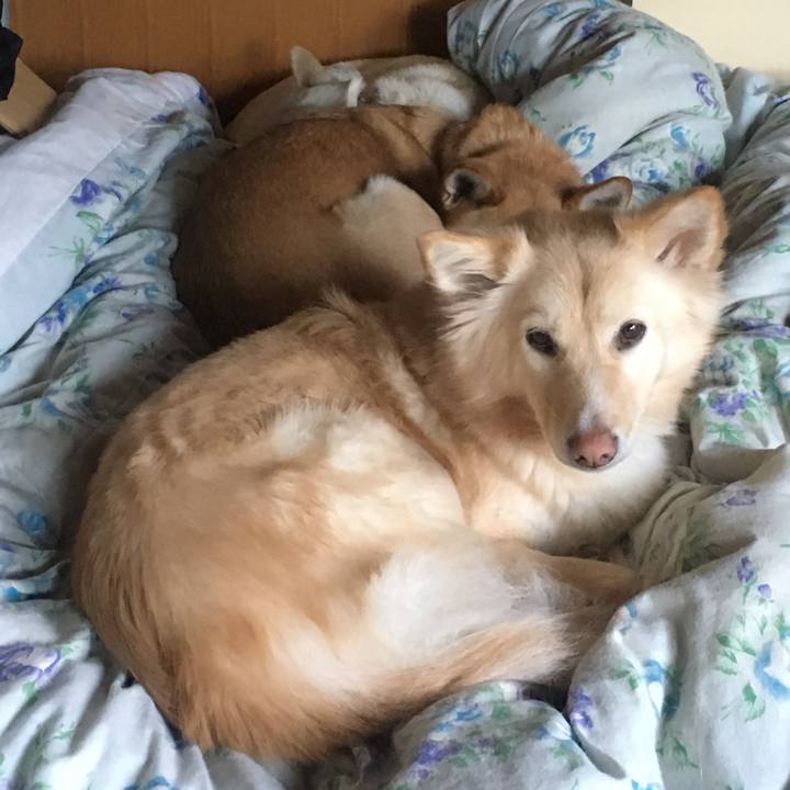 F308a5f3 1b45 40ca b5d7 6871962fce1c 1548546672879