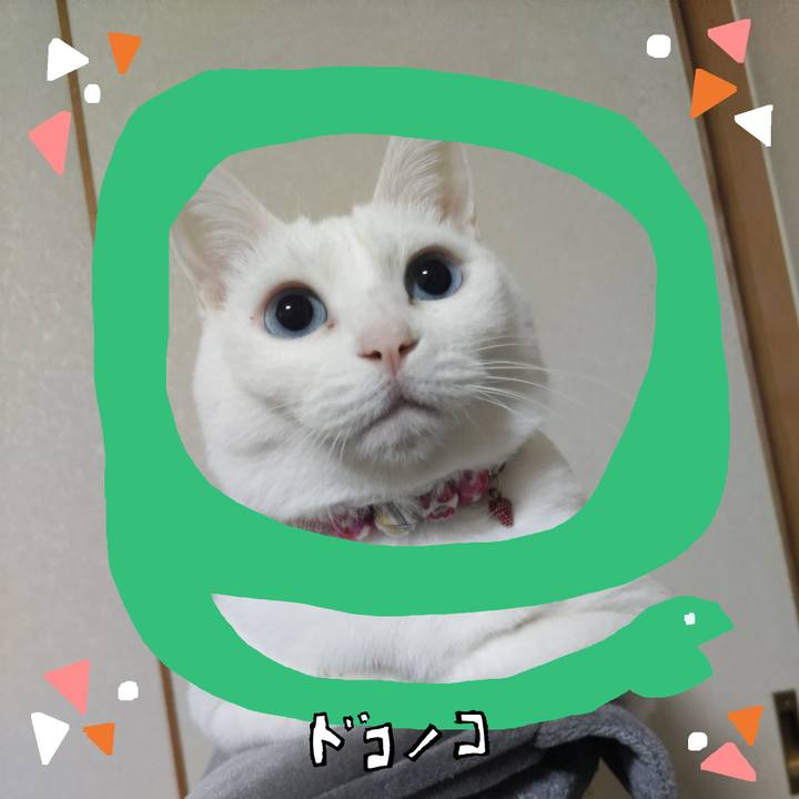 F308aceb 4921 49af bbb0 f6dc7856a377 1741062439195