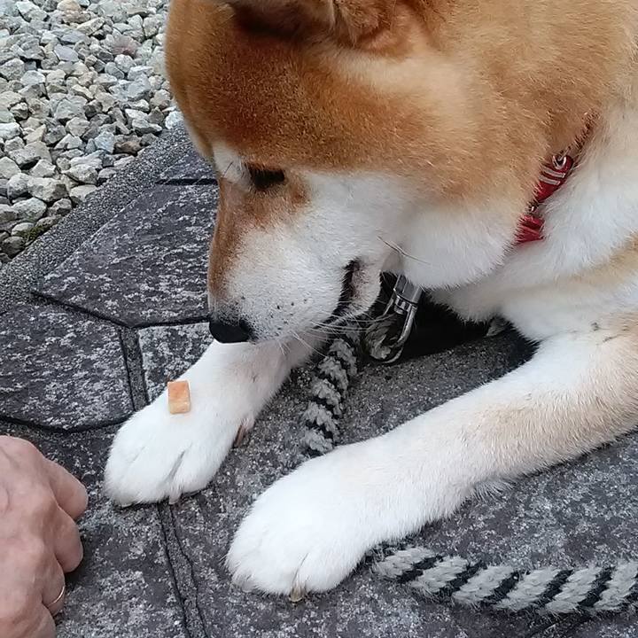 F308b54f ebeb 4607 8096 ea5cf6da3f5b 1593168734799