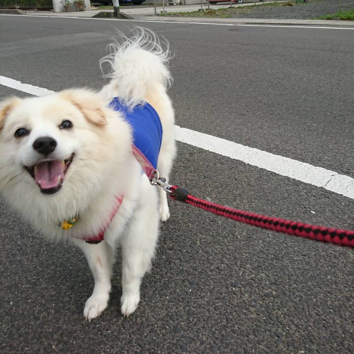 F308d356 e699 4dde a2ef c809c674cacb 1536011351487