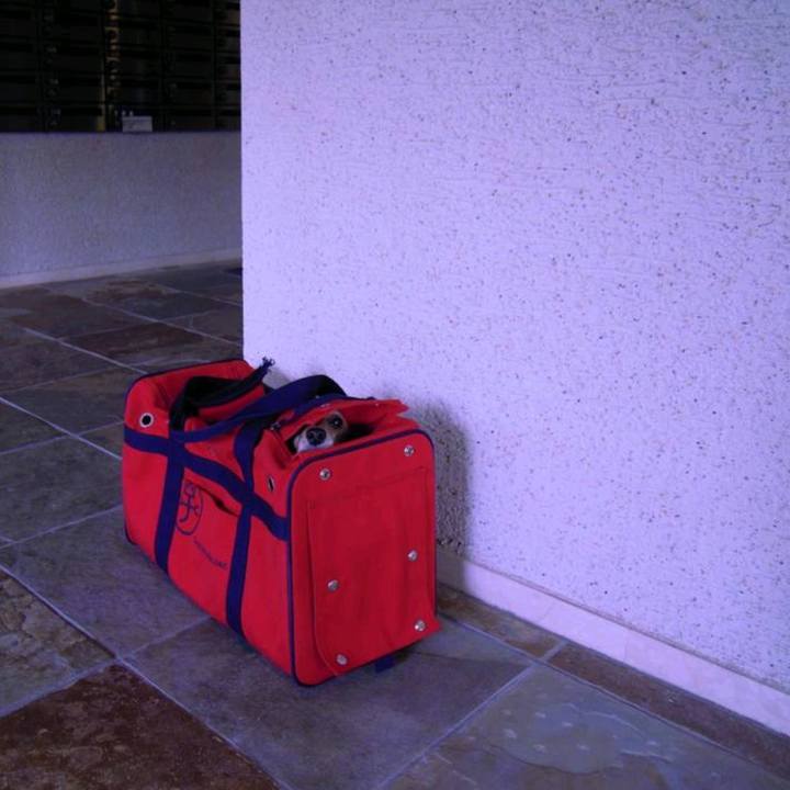 F308d3fa 0d51 4922 a926 8098ac510c28 1532323684852