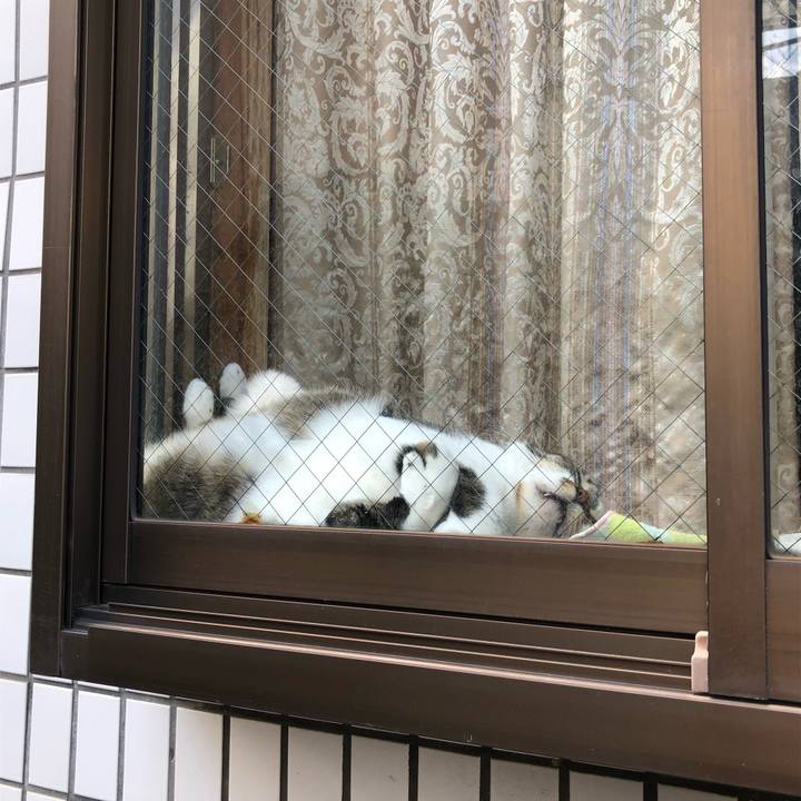 F308e95c 119d 4f63 a7df a14b4a630100 1633435095016