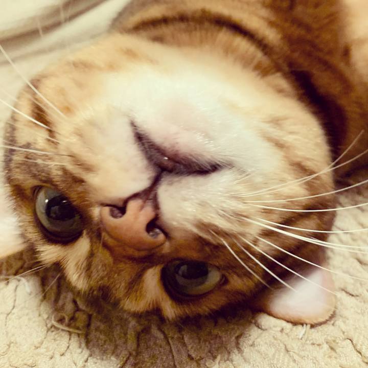 F3094f60 511f 43ca ae20 6c8433efab37 1605922355730