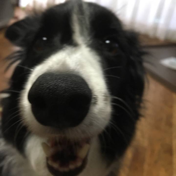 F3095252 8e8c 44e3 bc91 8770214c31a7 1534549781567