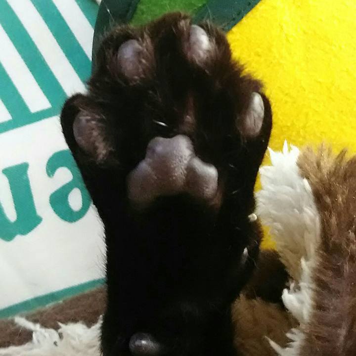 F30959bd 9623 4f3b bc3d 2bec940a6a0f 1518936942316