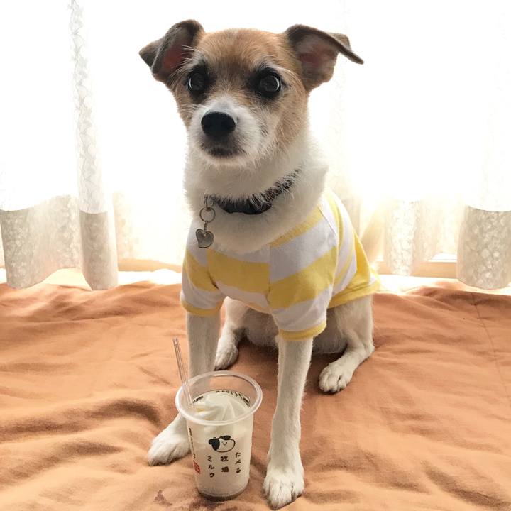 F3095b49 38da 47c4 86dd d87c8d3944d2 1563439975832