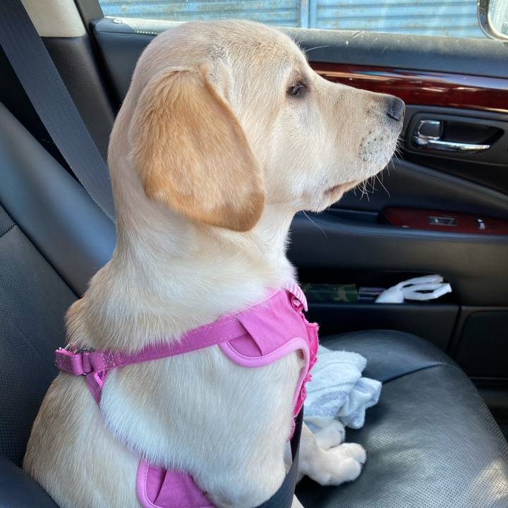 F30969ea 4c85 4001 8c8f d4ae1630c648 1614735350046