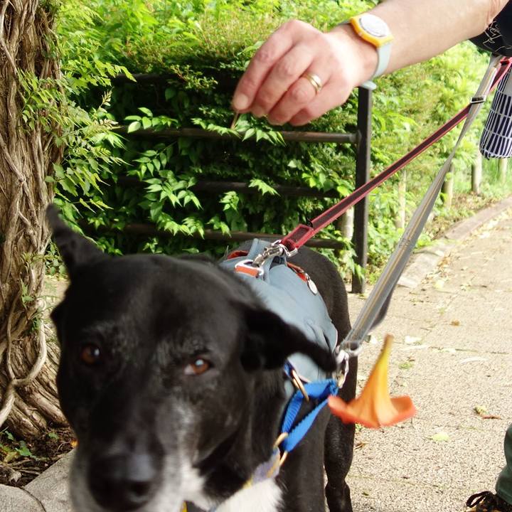 F3096d04 8635 4930 b03b 0591aac727e7 1749861017109