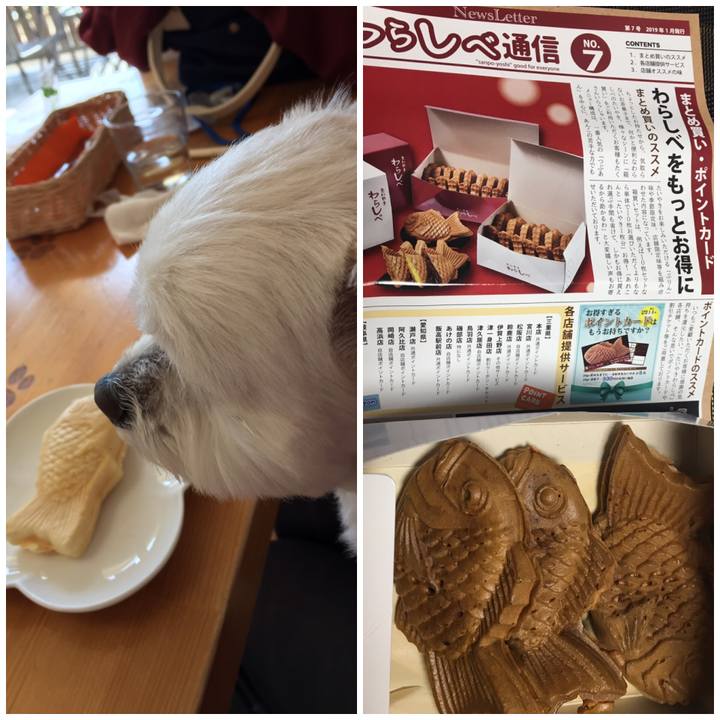 F3097a14 a8b0 4852 9b07 9d957378e186 1550910877758