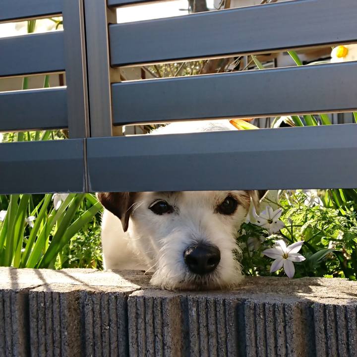 F309e285 ebc7 4a4e ab67 333a756f3e7a 1555544534410