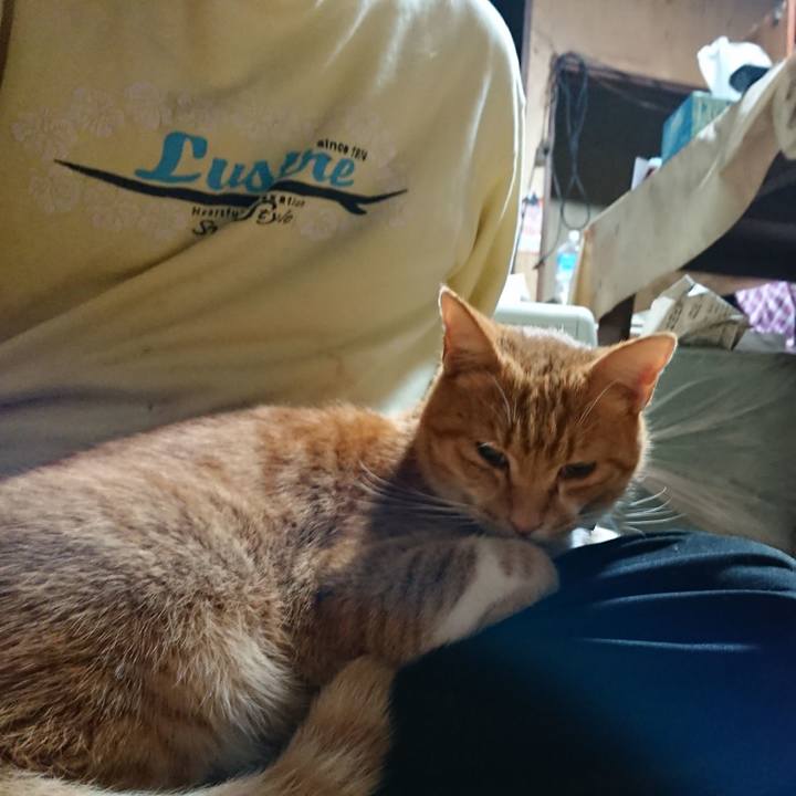 F30a4235 35f0 4e4a a3f0 49f8bc7c351c 1602264607174