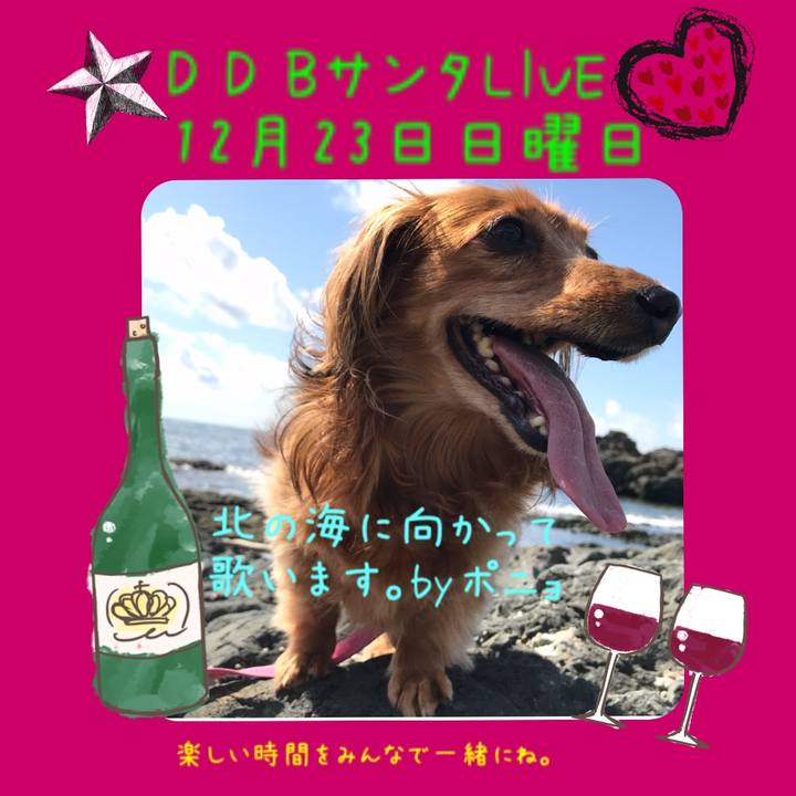 F30a5886 d3ce 4e09 9c51 777de8addb6b 1544373267798