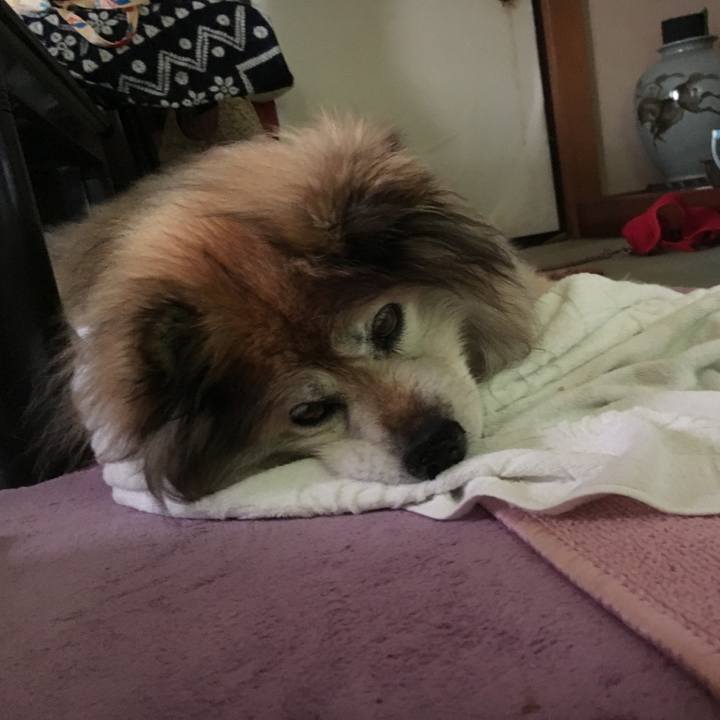 F30a7f25 6285 486e 8424 f8baaf65bb22 1575593521673