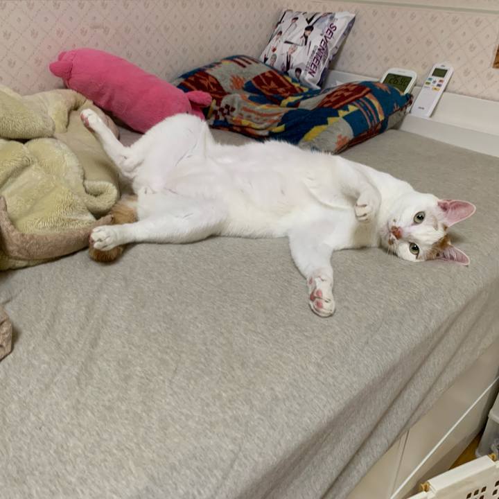 F30aa9e1 2390 46ac 9504 9d63bea13a43 1621777386855