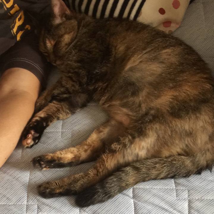 F30aac4e aa42 4707 a069 7c3b292eeb1b 1595198766903