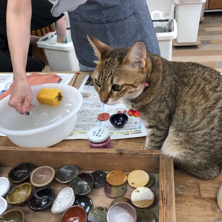 F30ab9c4 b6a4 4e5c b2a0 86b8e107513c 1659087732810