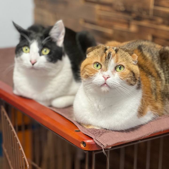 F30abdd9 b473 436e 905c 1b3e98ca007a 1647746614070