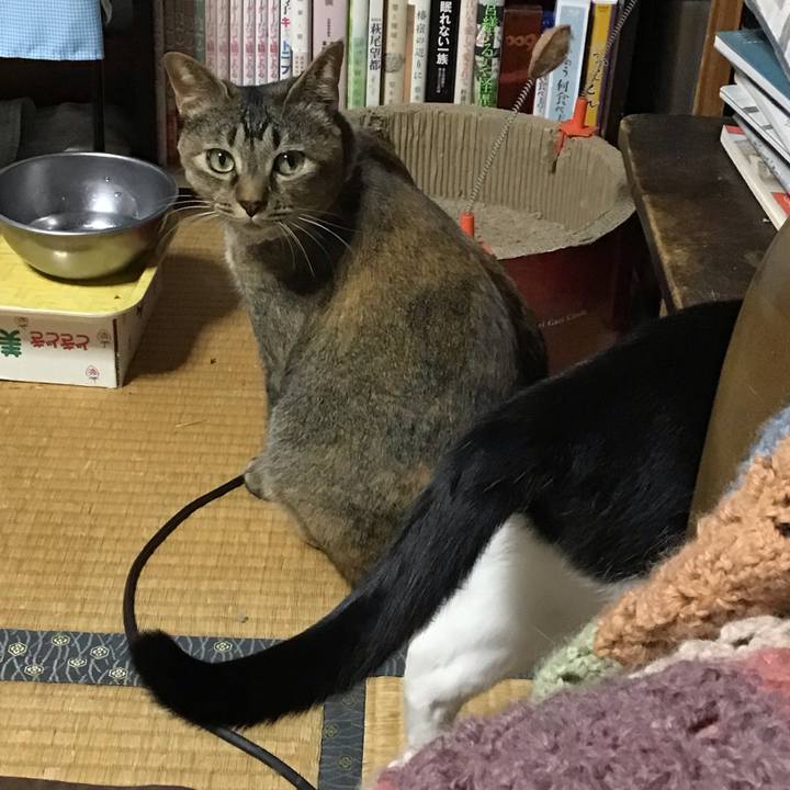 F30b08e7 538e 4527 8a63 be9fae5873a1 1654338486020