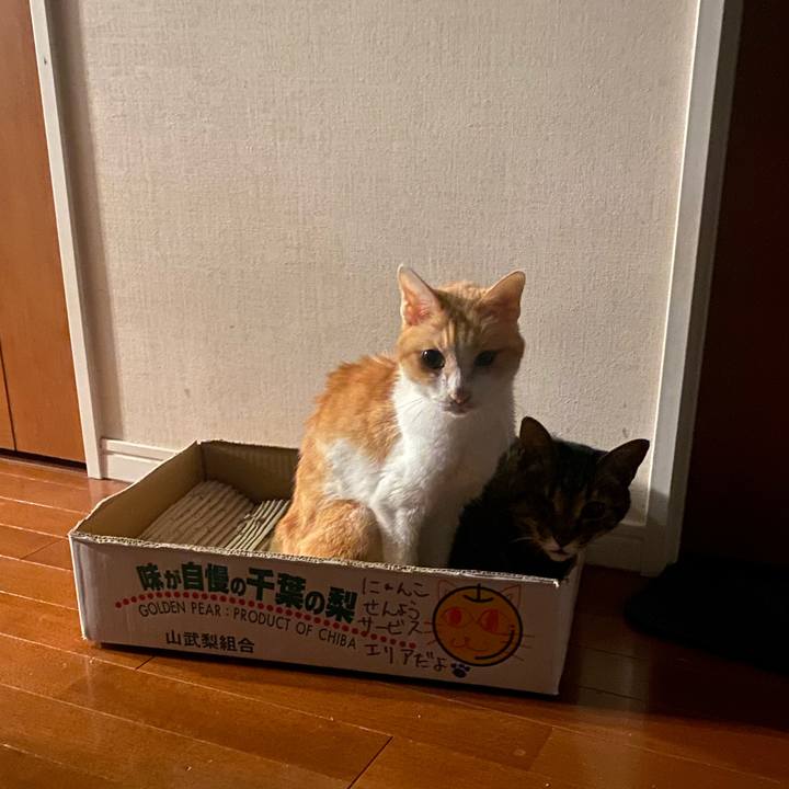 F30b423f 941a 40f1 af36 c37cc2424fc9 1772290807788