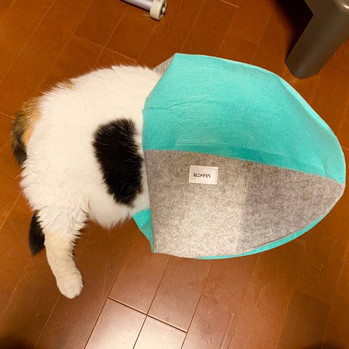 F30b46aa e392 4147 9d0a d675f3bdde74 1570101649099