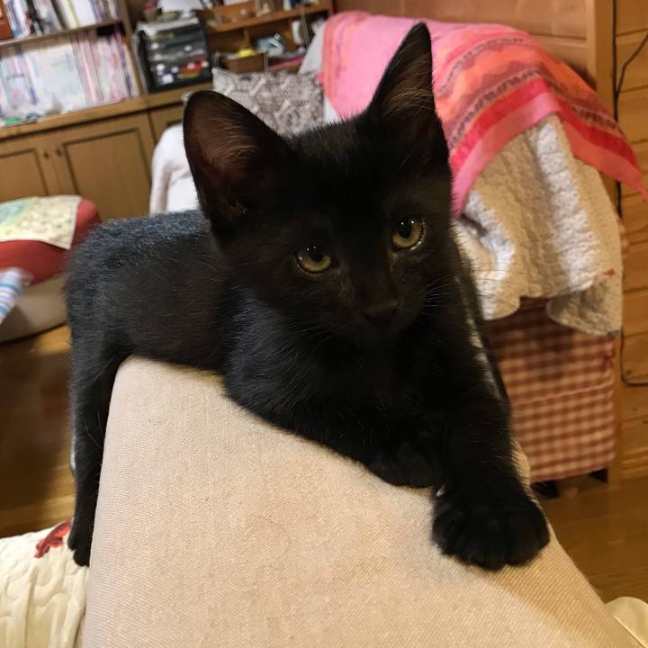 F30b58c5 8db5 44de 9d70 106f21a96a2e 1562880168834