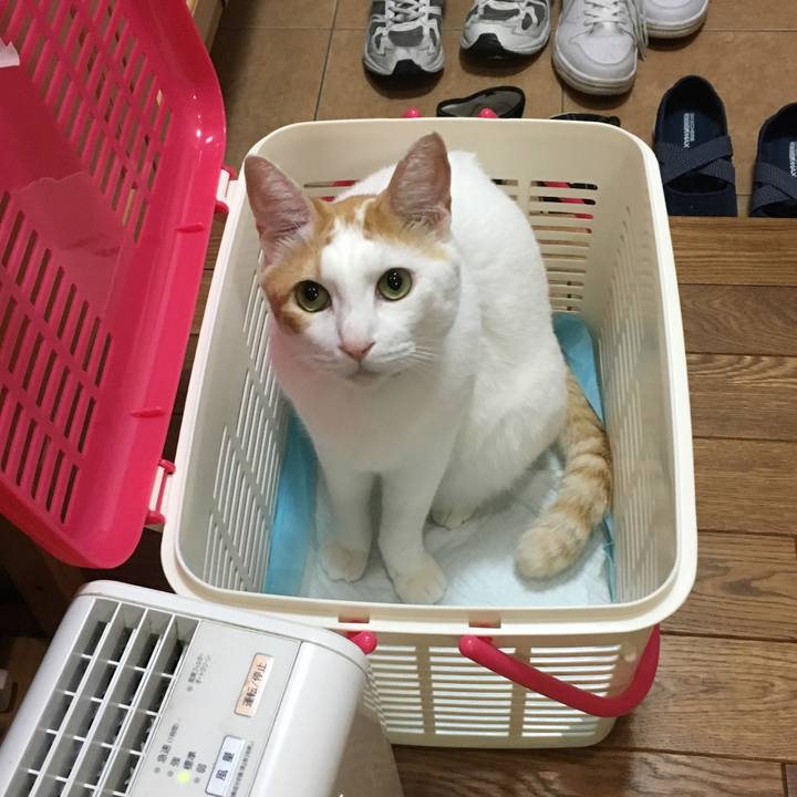 F30b76c5 5286 45d8 ad6f b0dfe79b1336 1532443269896