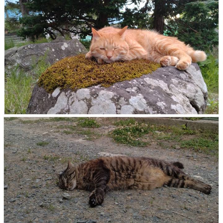 F30c09e0 d00f 4200 a410 f315d644a965 1720173926828