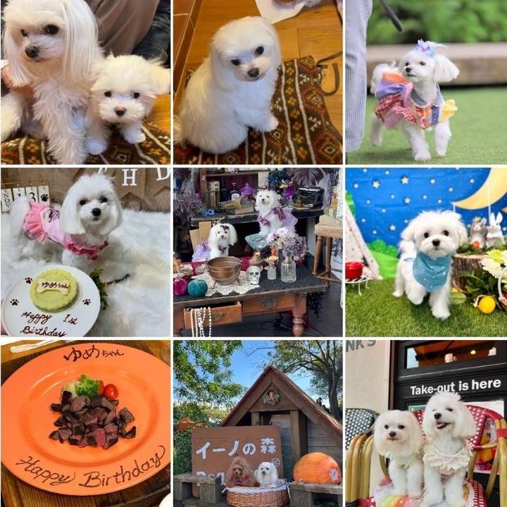 F30c0fc4 c36f 489b 8ed1 8faeb862dfda 1735975023221