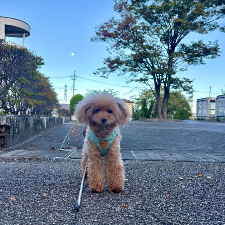 F30c7518 cff7 412a 8883 cbd900957f33 1759995941184