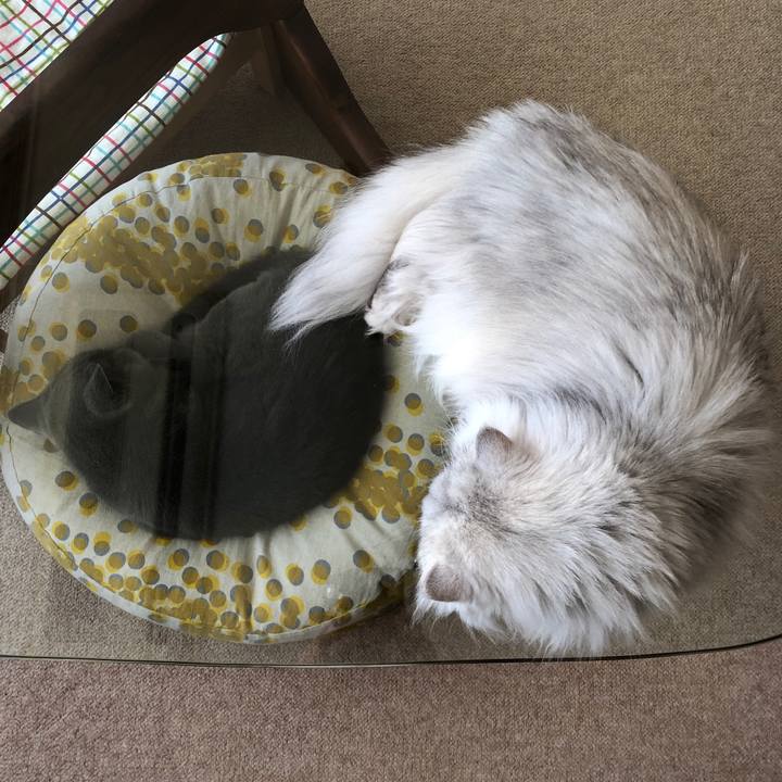 F30c9eb5 7958 48f8 8018 de097bca6d02 1543043161353