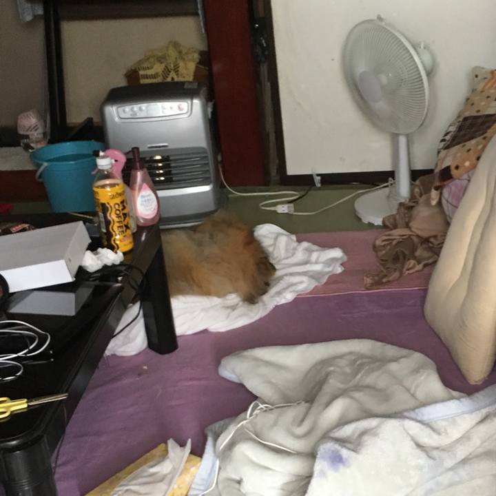 F30c9f52 c1c9 45c4 b4d6 d3bc4023e99a 1558159382330