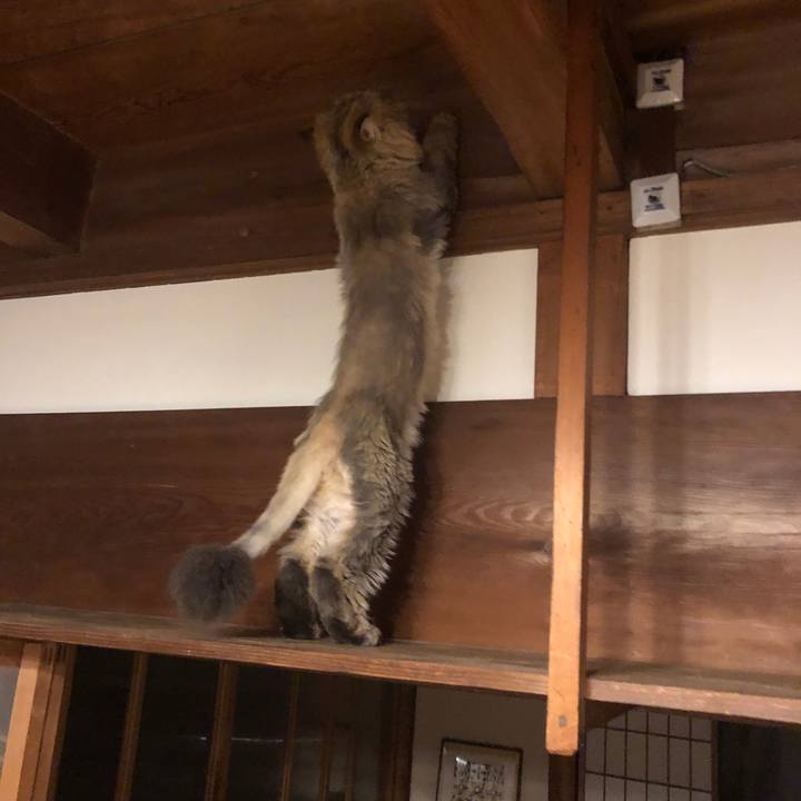 F30ca46e f000 4e6f a4fb 24019fa08f68 1592824066346