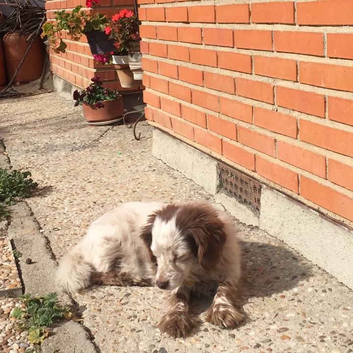 F30cbaab 3b53 4fc4 890b 70e6f31f3aa8 1518792196548