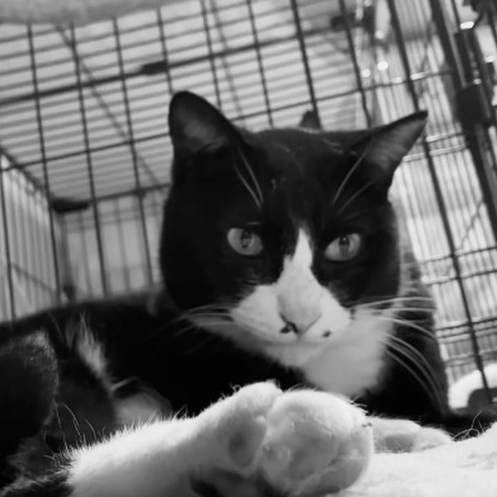 F30ce9ef c9af 4895 b9b5 38a26b1d9b0d 1744890982224