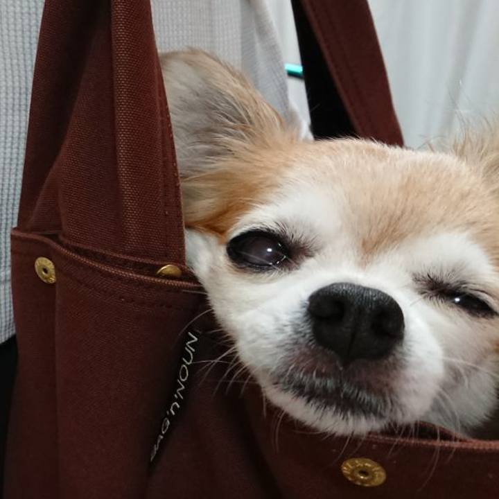 F30cf32d 2631 40ee 8e7f 686cf5e49054 1542713845608