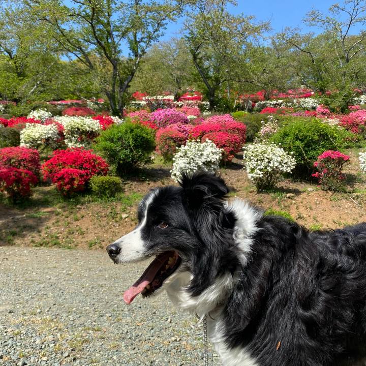 F30cf8e8 a50a 4f17 a423 f8a744905b3b 1681108401254