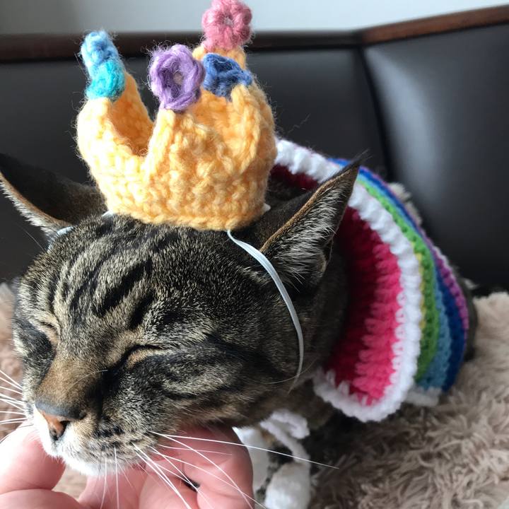 F30d7e29 f670 4db9 9e3b a0f5b22b262f 1522770986954