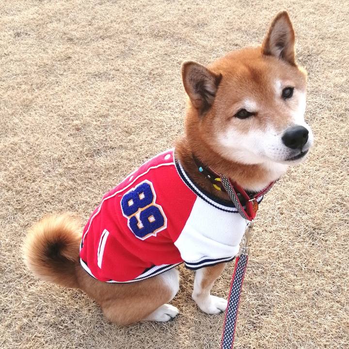 F30dac0f ca74 4f68 a13a 1500d60f0d6f 1642233273131