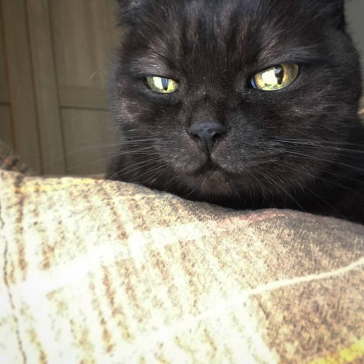 F30de380 3605 4328 87ee c595b8e10470 1538697935484