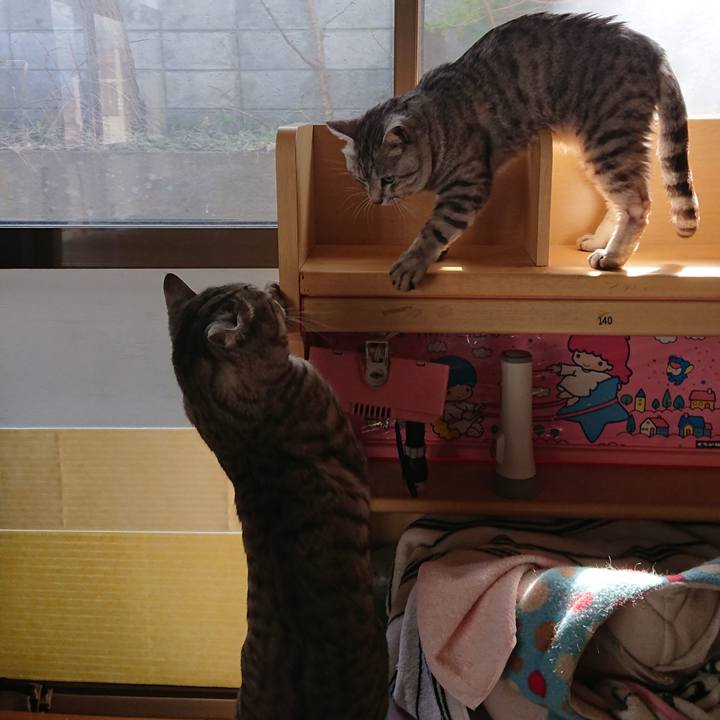 F30de6ce b890 49fe ad19 b394f349d8f2 1557657720359