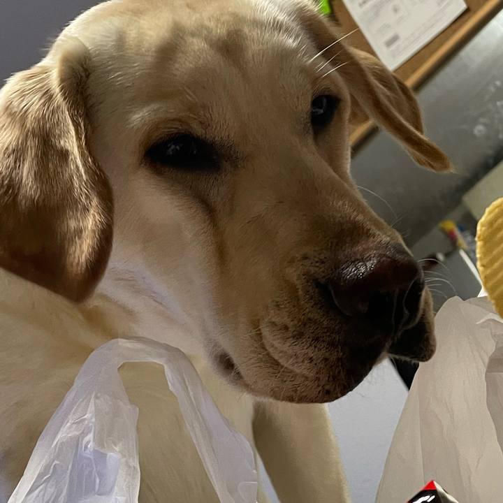 F30deb58 dcf6 4963 87b7 c263b25ccc97 1647005640008