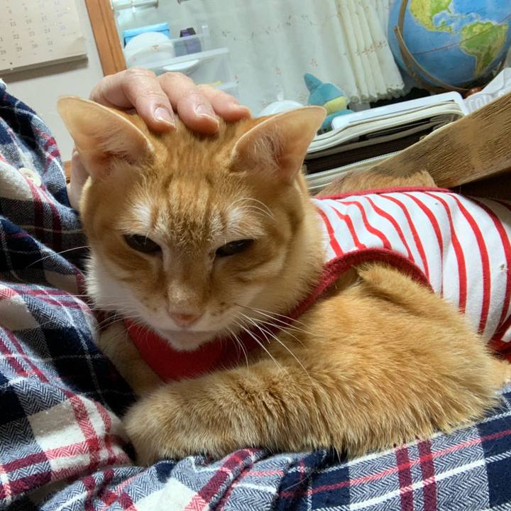 F30df58b 1c53 4db0 b927 b8e64313f016 1579787968198