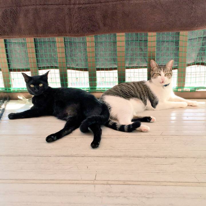 F30e012a 39cf 4587 b9d6 6ca6dca589df 1510705277649