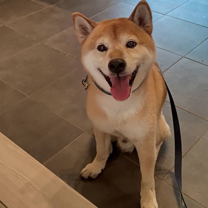 F30e25b1 1b01 4592 87aa bfc196aeece2 1597705931872