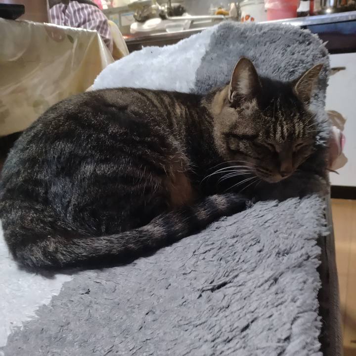 F30e2e2b b2f8 4bc9 91d9 4918e10a8344 1666613141168