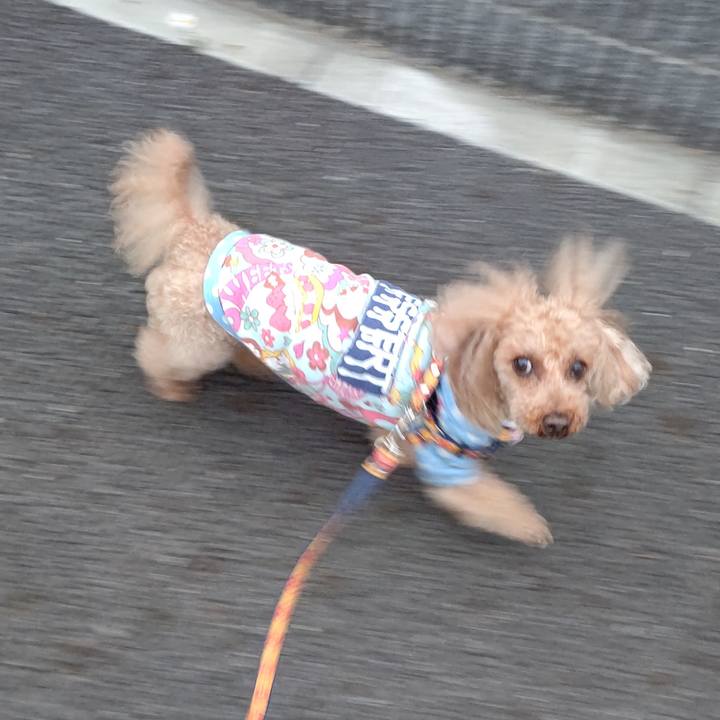 F30e2f7b ddac 40f6 89e6 b0ca4d50aac4 1617527118431